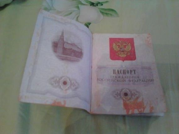 прописка в Арсеньеве